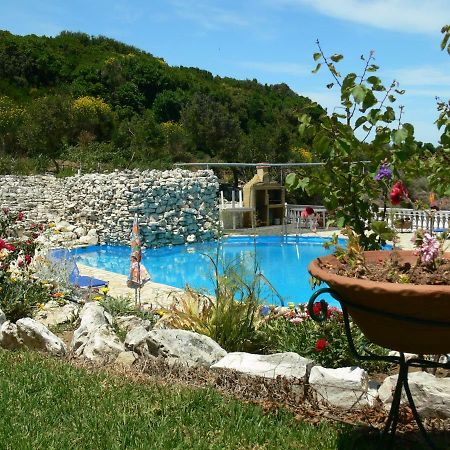 Angela Apartments Pool Gardens And Sea Views アギオス・ステファノス エクステリア 写真