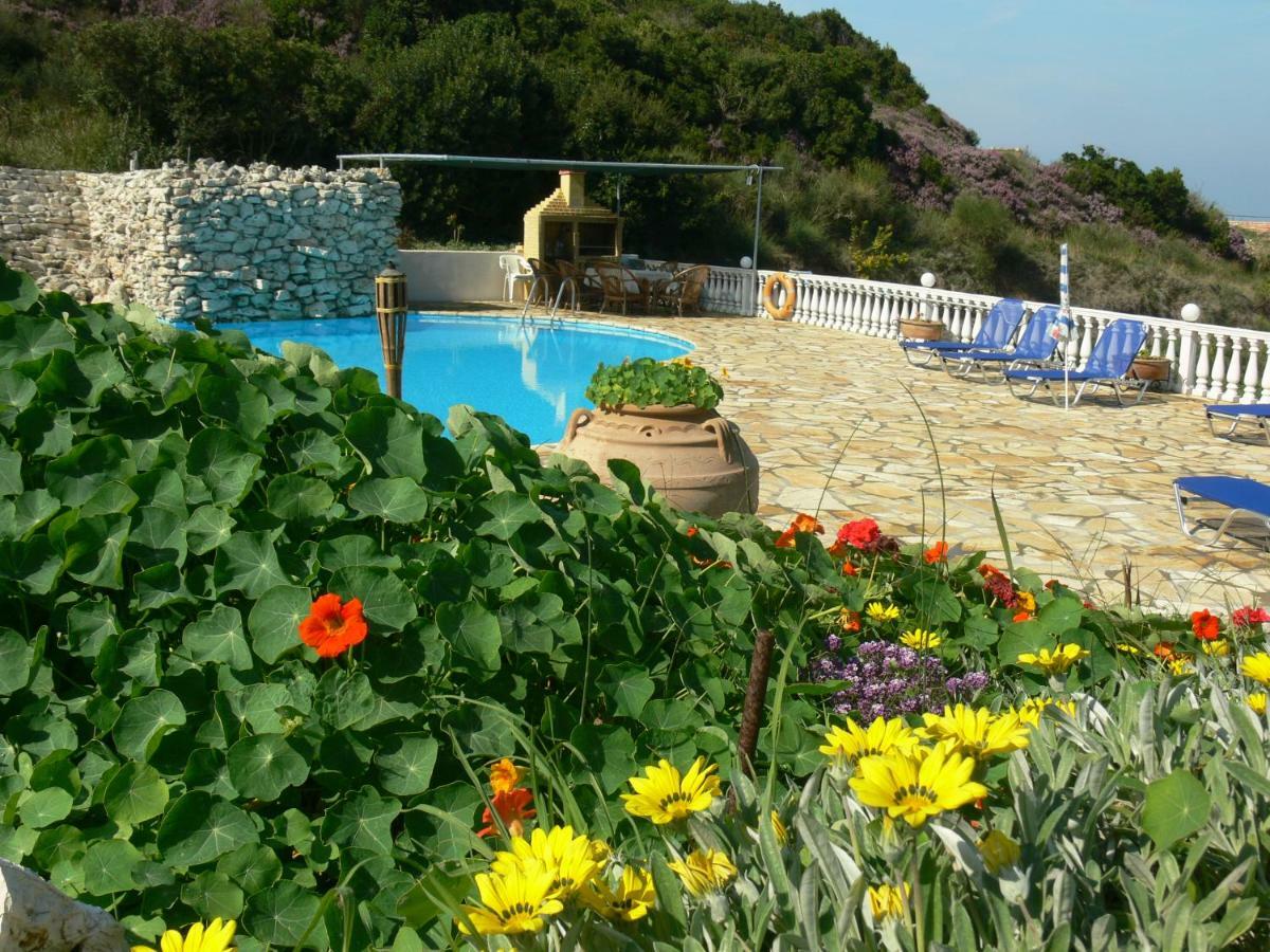 Angela Apartments Pool Gardens And Sea Views アギオス・ステファノス エクステリア 写真